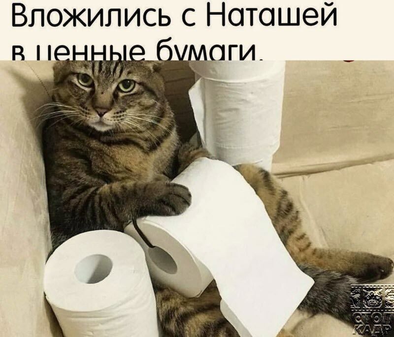 Вложились с Наташей в ценные бумаги.