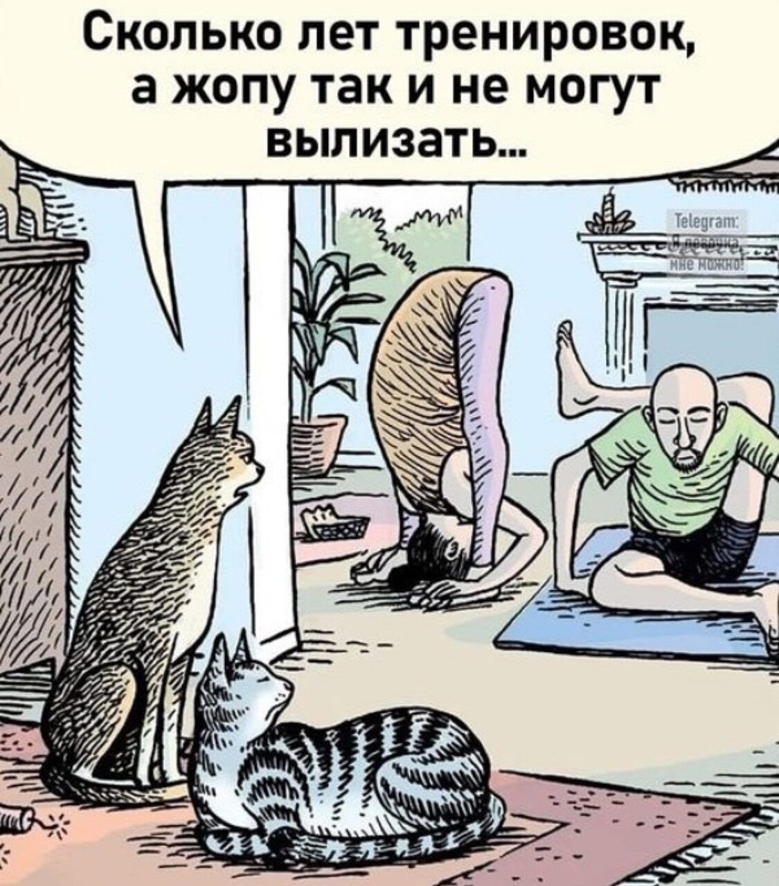 Сколько лет тренировок, а жопу так и не могут вылизать...