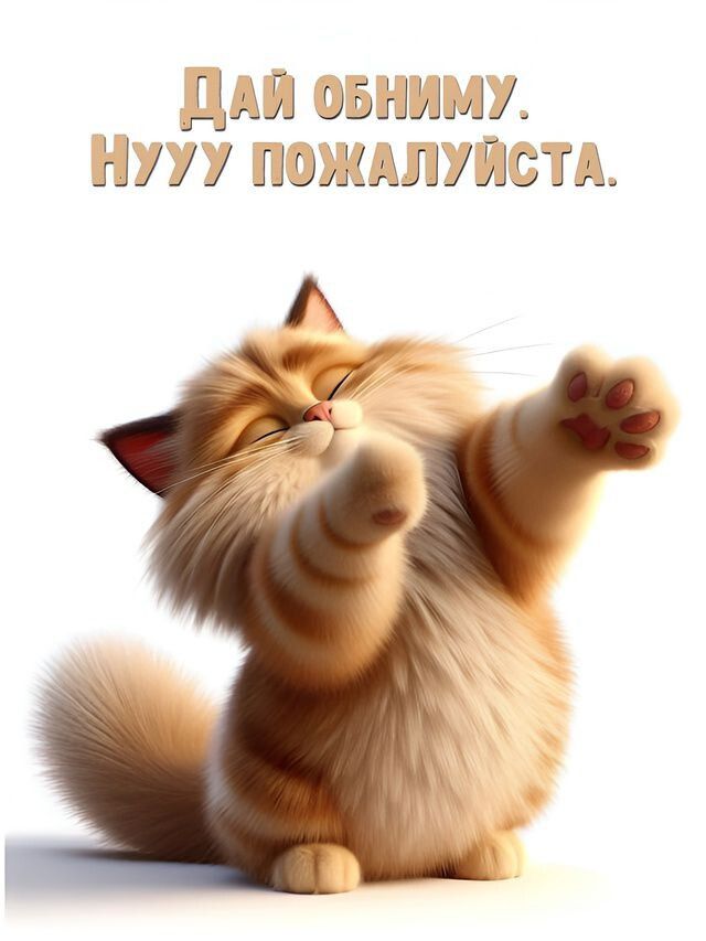 Дай обниму. Нууу пожалуйста.