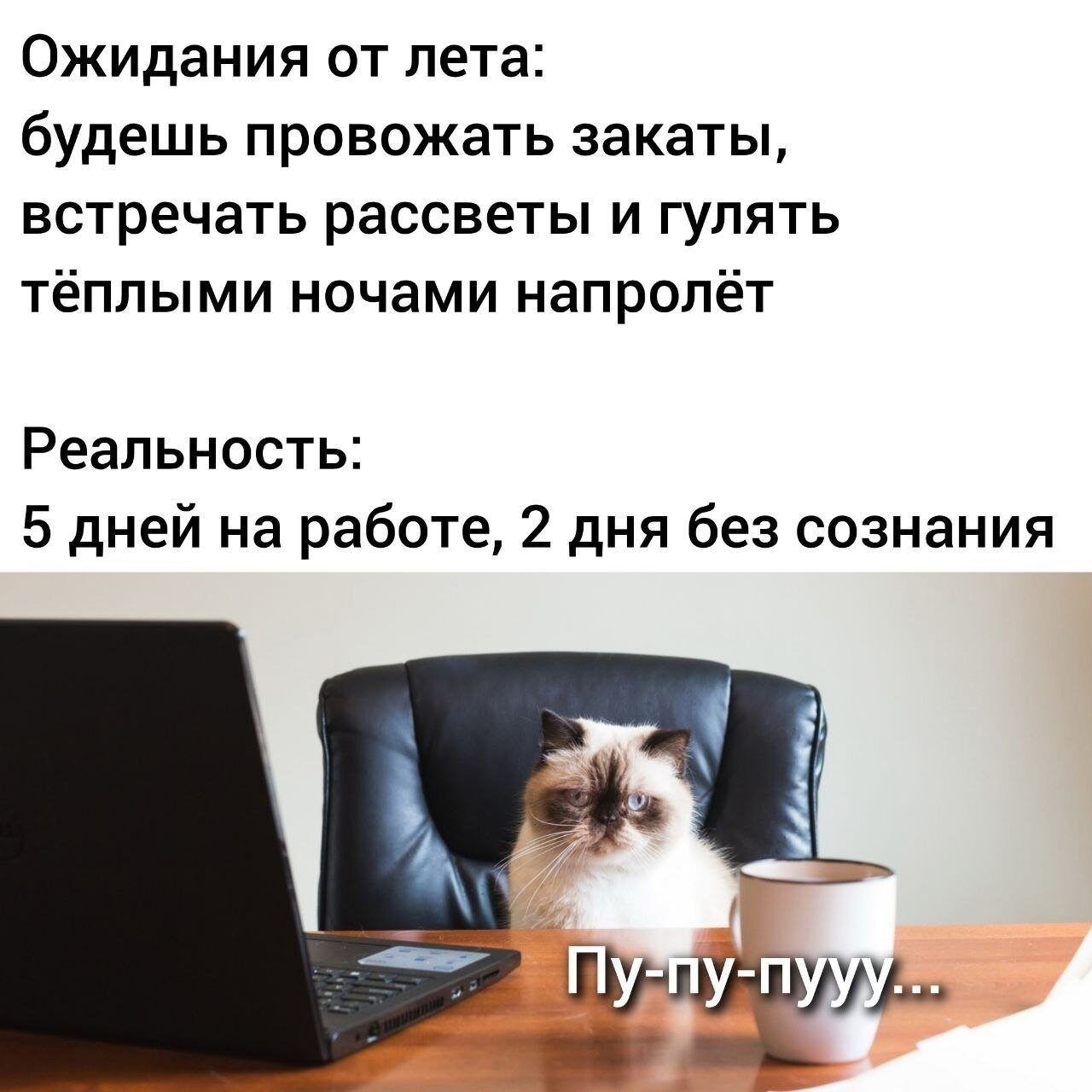 Ожидания от лета: будешь проводить закаты, встречать рассветы и гулять тёплыми ночами напролёт
Реальность: 5 дней на работе, 2 дня без сознания
Пу-пу-пууу...