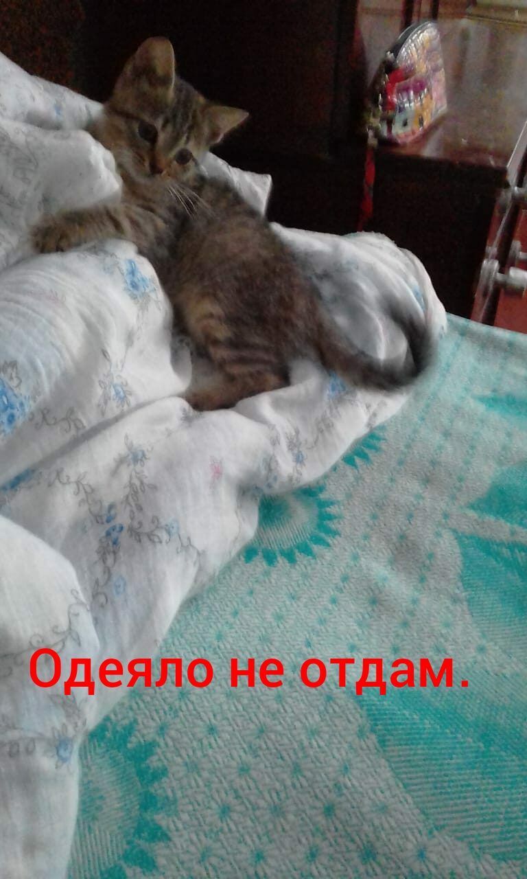 Одеяло не отдам.