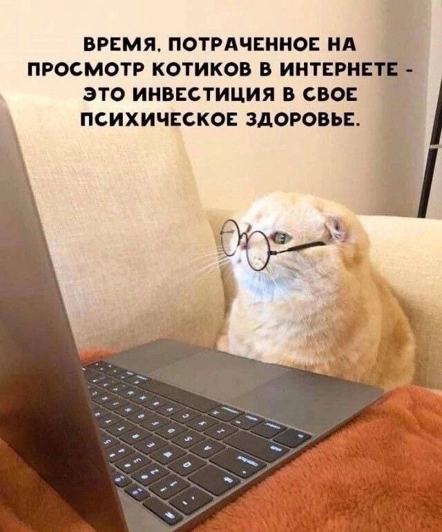 Время, потраченное на просмотр котиков в интернете – это инвестиция в свое психическое здоровье.