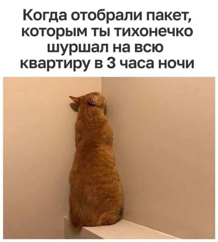 Когда отобрали пакет, которым ты тихонечко шуршал на всю квартиру в 3 часа ночи