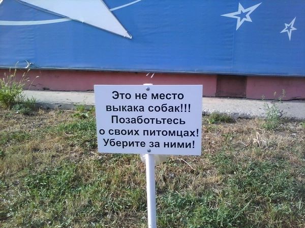 Это не место выгула собак!!! Позаботьтесь о своих питомцах! Уберите за ними!