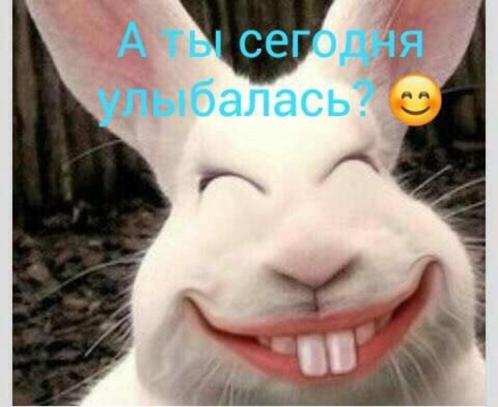 А ты сегодня улыбался? 🙂