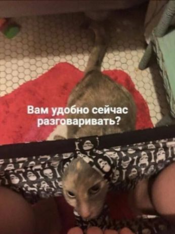 Вам удобно сейчас разговаривать?