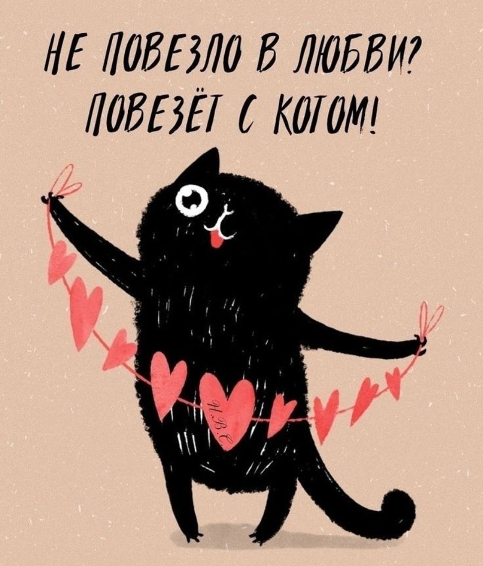 НЕ ПОВЕЗЛО В ЛЮБВИ? ПОВЕЗЁТ С КОТОМ!