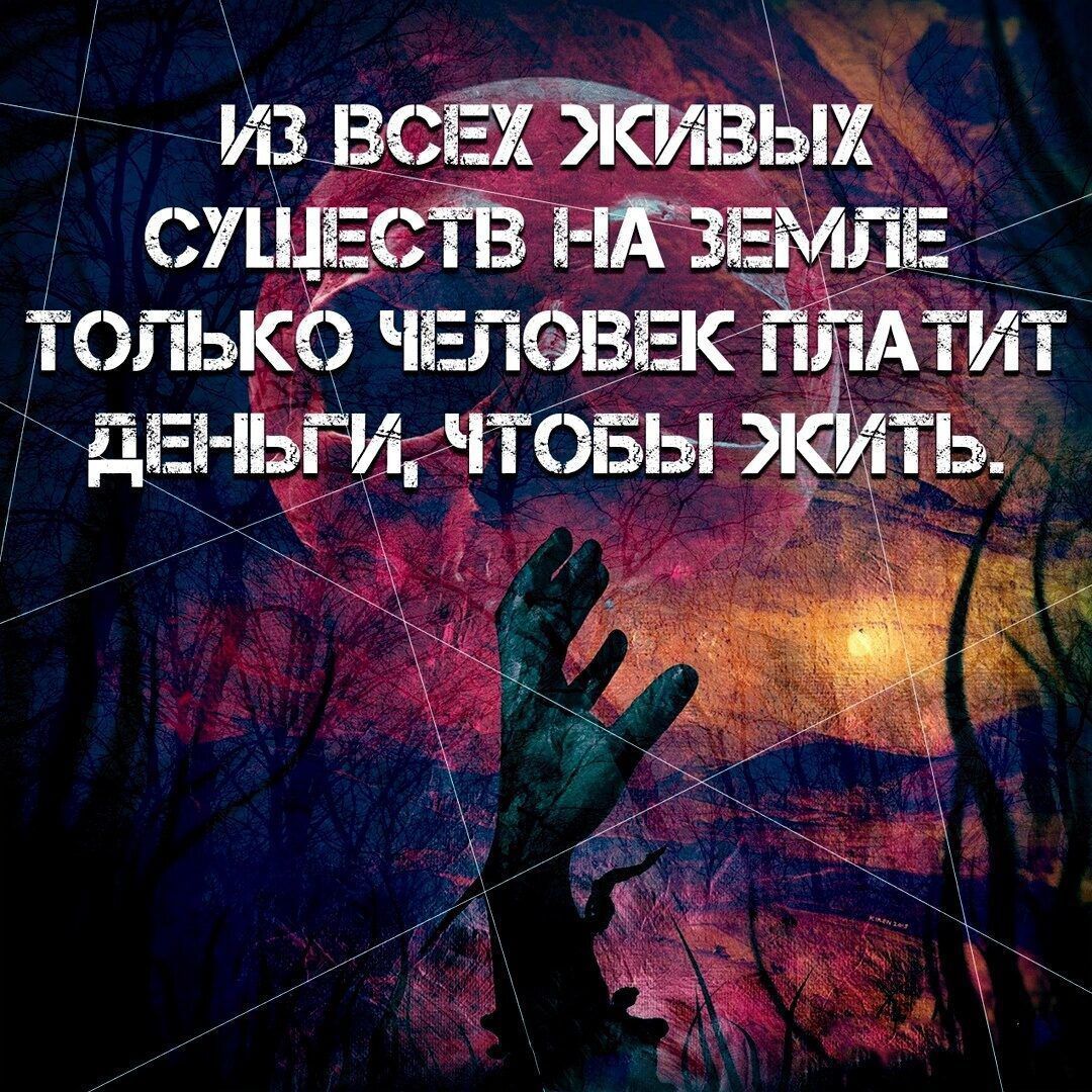 ИЗ ВСЕХ ЖИВЫХ СУЩЕСТВ НА ЗЕМЛЕ ТОЛЬКО ЧЕЛОВЕК ПЛАТИТ ДЕНЬГИ, ЧТОБЫ ЖИТЬ.