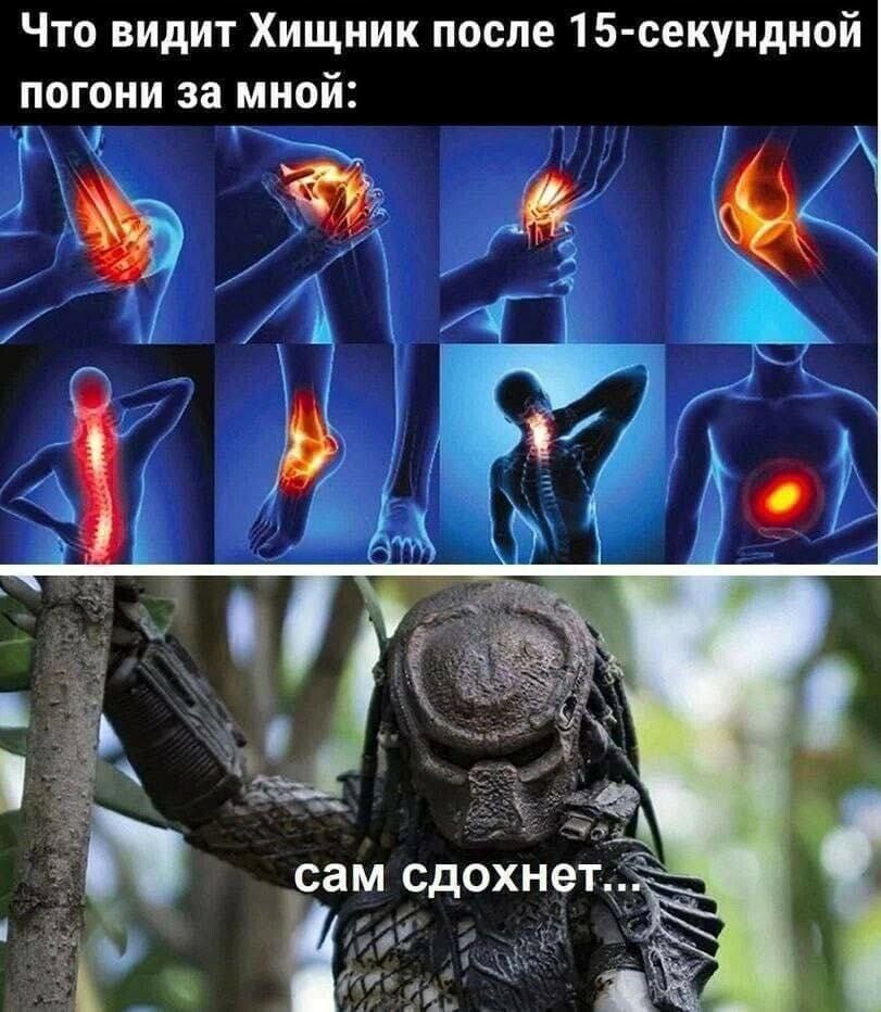 Что видит Хищник после 15-секундной погонет за мной: сам сдохнет.