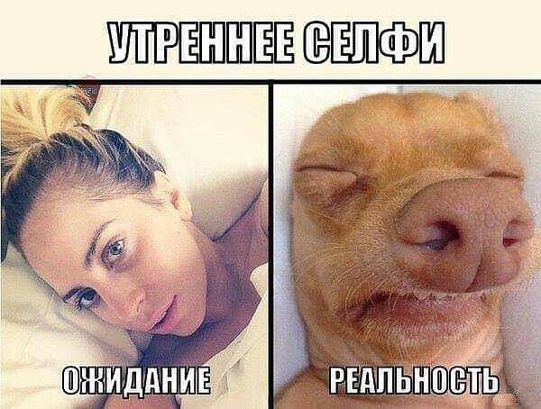 УТРЕННЕЕ СЕЛФИ
ОЖИДАНИЕ
РЕАЛЬНОСТЬ