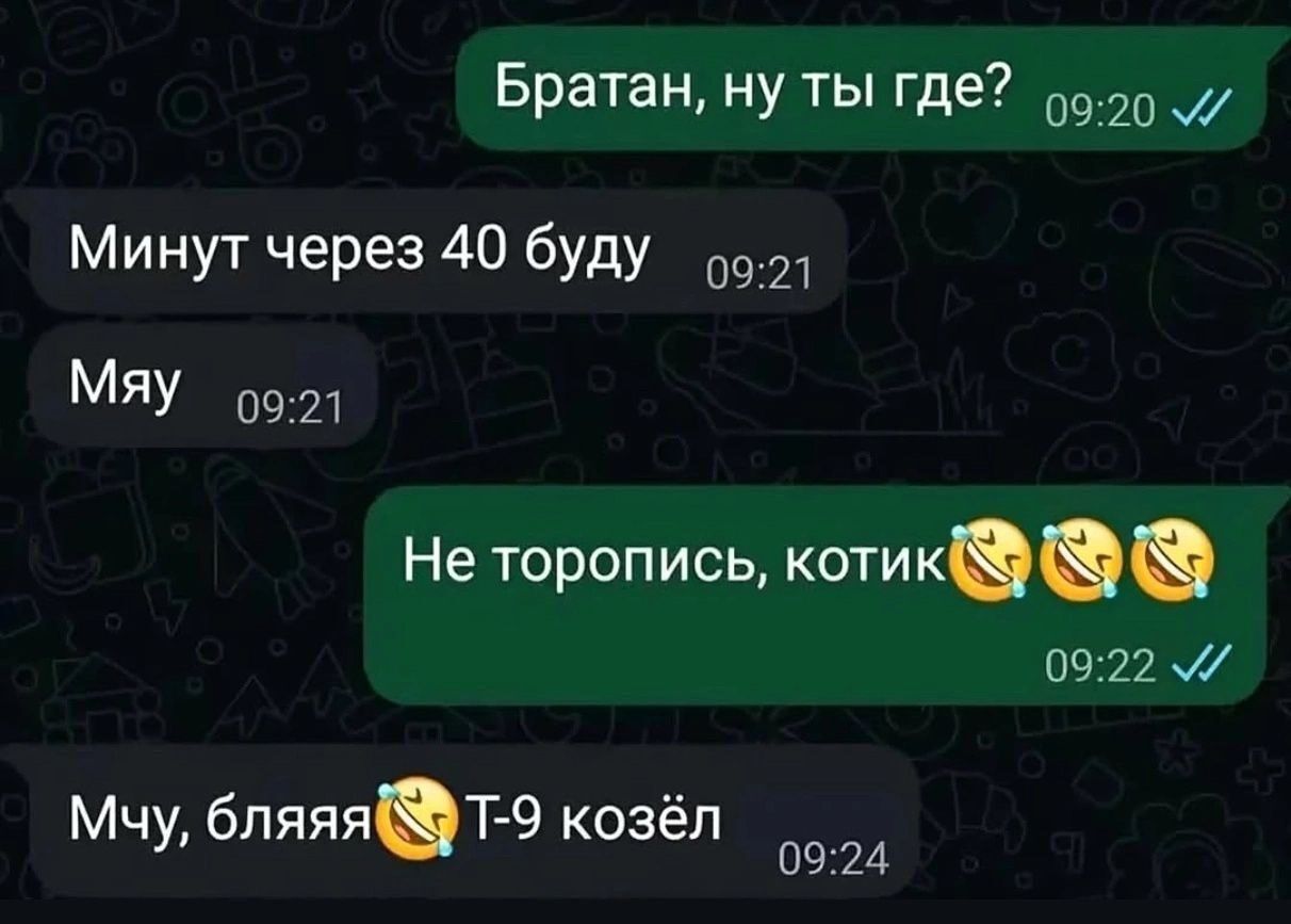 Братан, ну ты где?
Минут через 40 буду
Мяу
Не торопись, котик
Мчу, бляяя T-9 козёл
