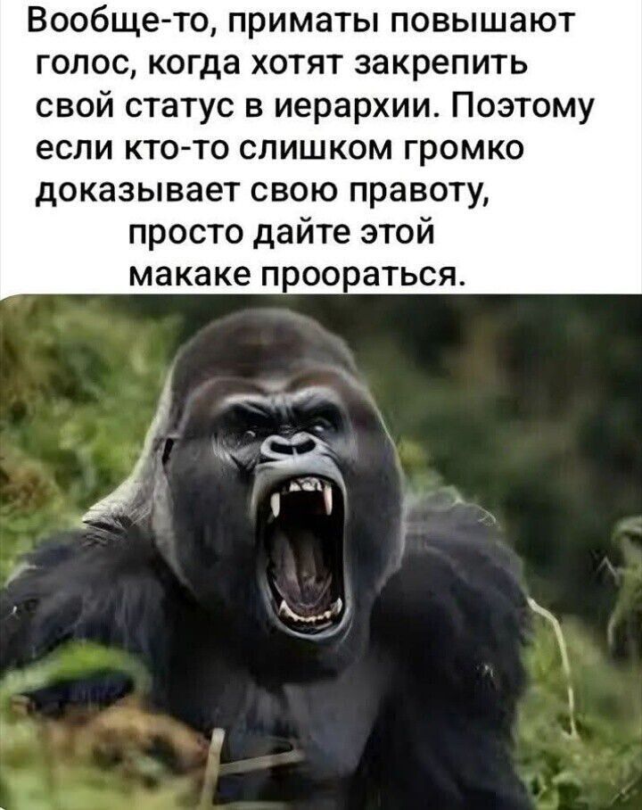 Вообще-то, приматы повышают голос, когда хотят закрепить свой статус в иерархии. Поэтому если кто-то слишком громко доказывает свою правоту, просто дайте этой макаке проора́ться.