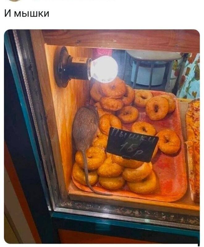 И мышки