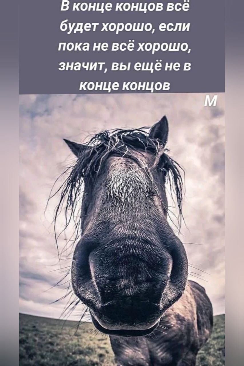 В конце концов всё будет хорошо, если пока не всё хорошо, значит, вы ещё не в конце концов