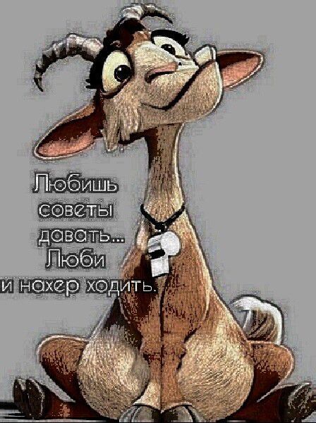 Любишь советы давать... Люби и нахер ходить.