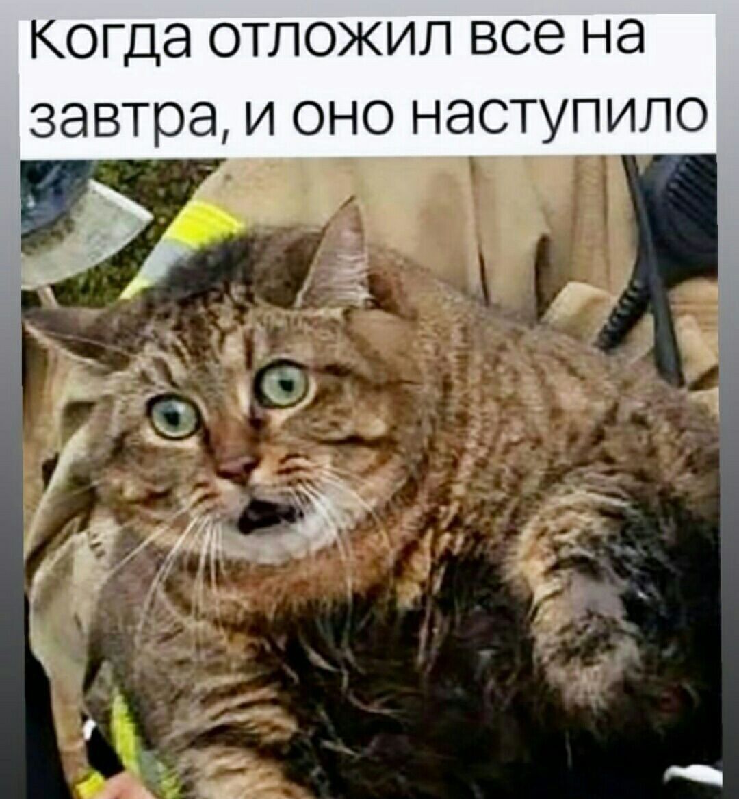 Когда отложил все на завтра, и оно наступило