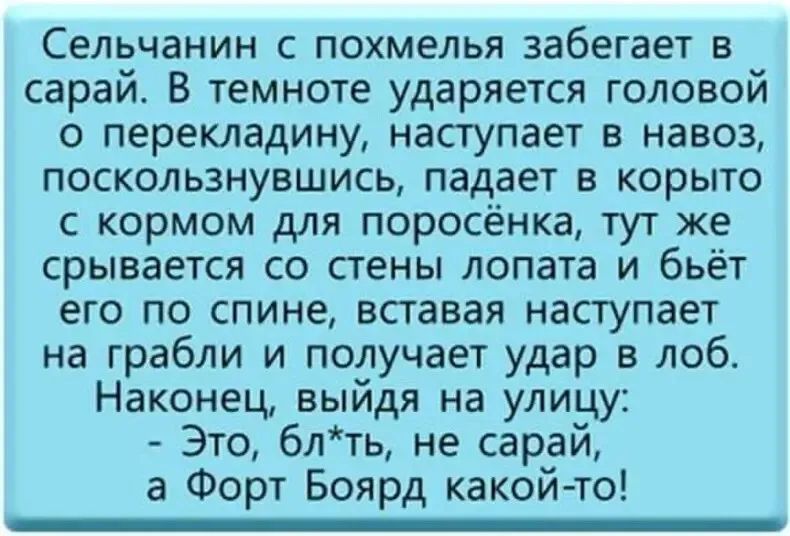 Сельчанин с похмелья забегает в сарай. В темноте ударяется головой о перекладину, наступает в навоз, поскользнувшись, падает в корыто с кормом для поросёнка, тут же срывается со стены лопата и бьёт его по спине, вставя наступает на грабли и получает удар в лоб. Наконец, выйдя на улицу: - Это, бльт', не сарай, а Форт Боярд какой-то!