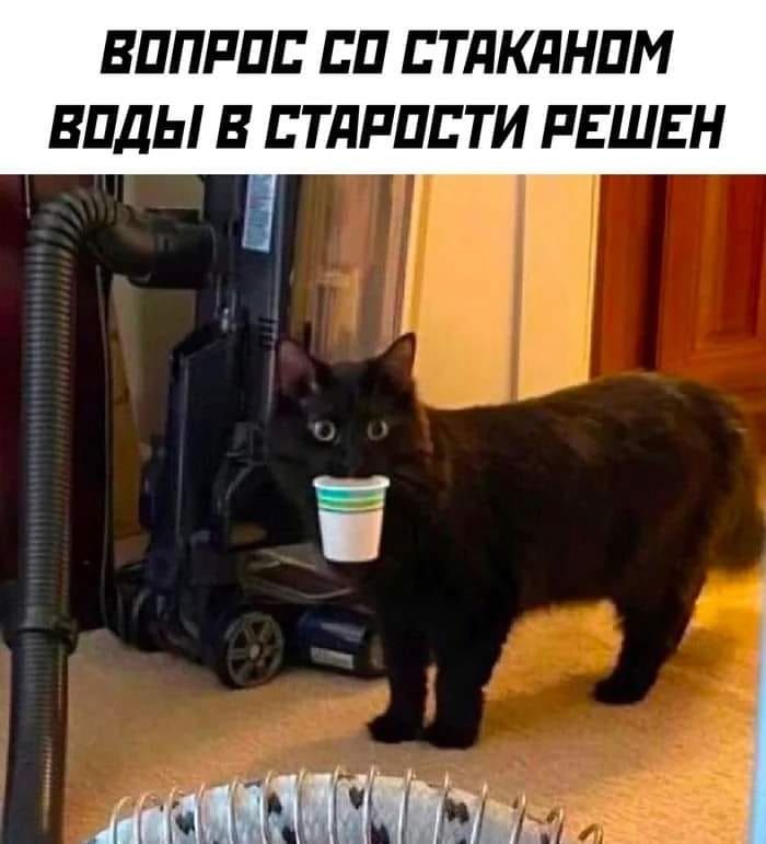 ВОПРОС СО СТАКАНОМ ВОДЫ В СТАРОСТИ РЕШЕН