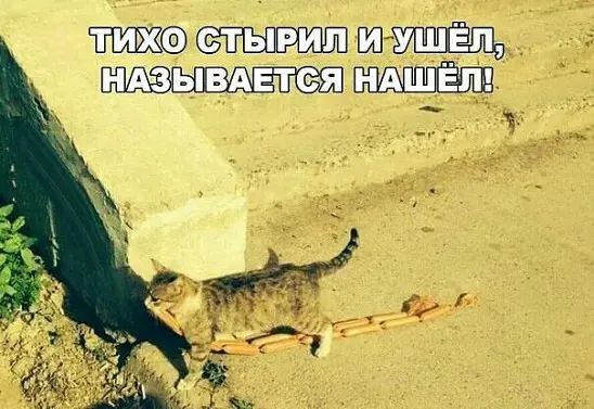 ТИХО СТЫРИЛ И УШЁЛ, НАЗЫВАЕТСЯ НАШЁЛ!
