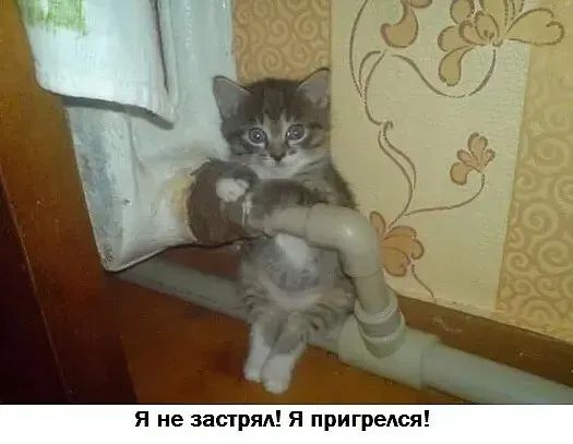Я не застрял! Я пригелся!