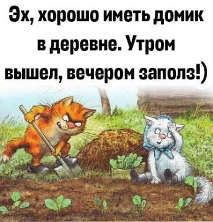 Эх, хорошо иметь домик в деревне. Утром вышел, вечером заполз!