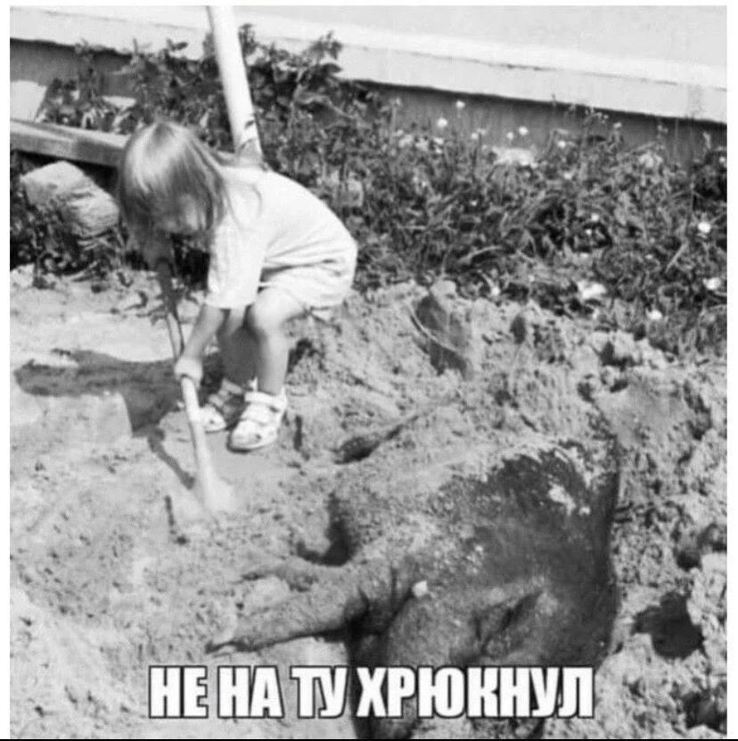 НЕ НА ТУ ХРЮКНУЛ