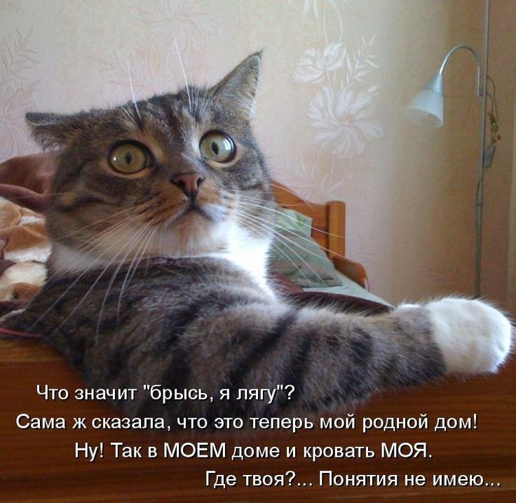 Что значит 