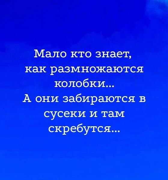 Мало кто знает, как размножаются колобки... А они забираются в сусеки и там скребутся...