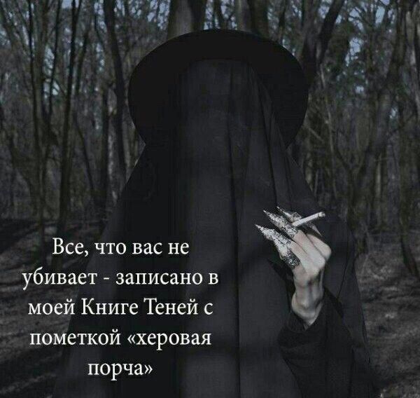 Все, что вас не убивает - записано в моей Книге Теней с пометкой «херовая порча»