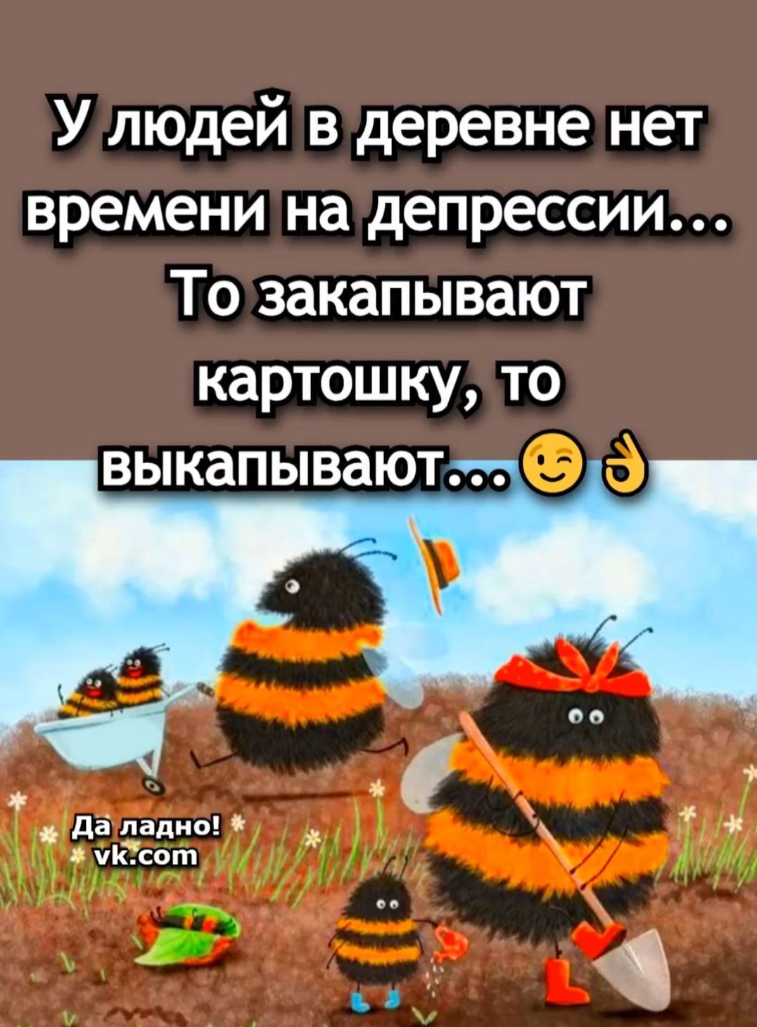 У людей в деревне нет времени на депрессию... То закапывают картошку, то выкапывают... 😉👌