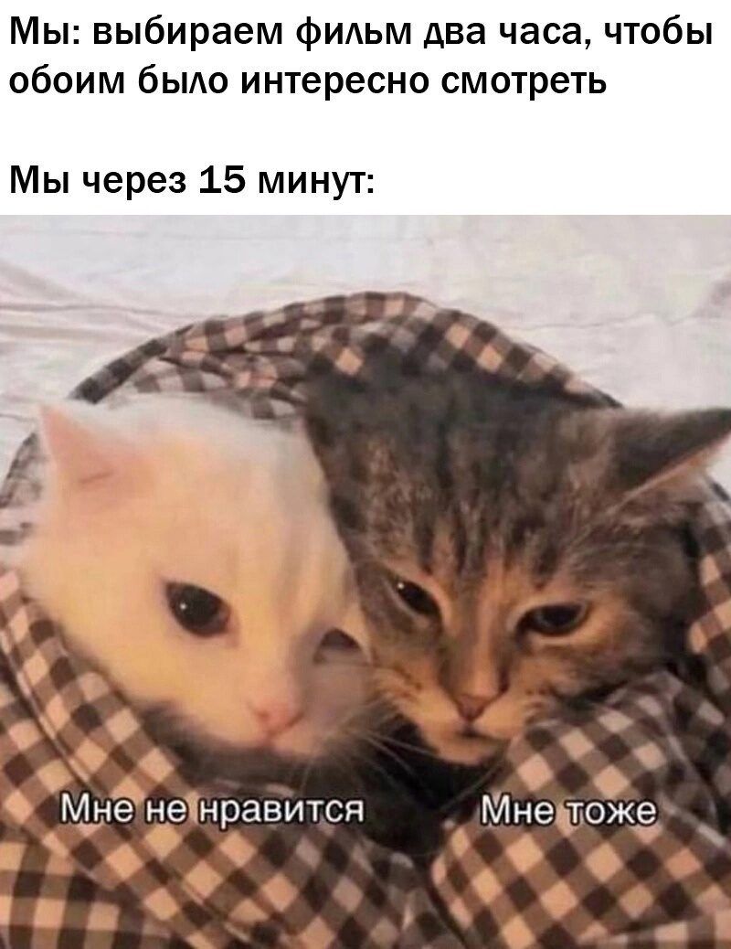 Мы: выбираем фильм два часа, чтобы обоим было интересно смотреть
Мы через 15 минут:
Мне не нравится
Мне тоже