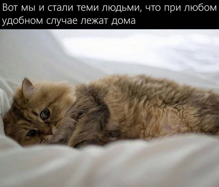 Вот мы и стали теми людьми, что при любом удобном случае лежат дома
