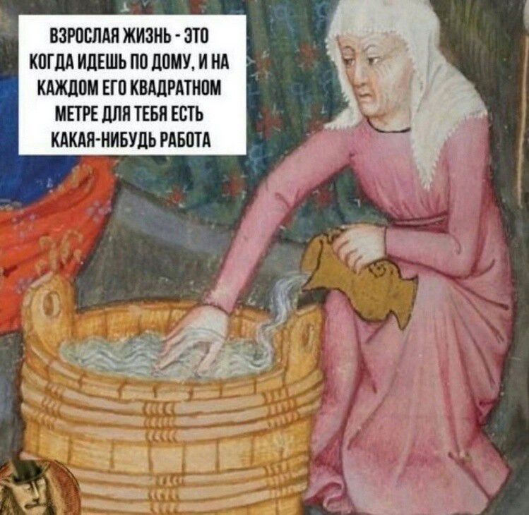 Взрослая жизнь - это когда идёшь по дому, и на каждом его квадратном метре для тебя есть какая-нибудь работа.