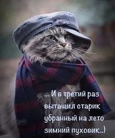 ... И в третий раз вытащил старик убранный на лето зимний пуховик..)