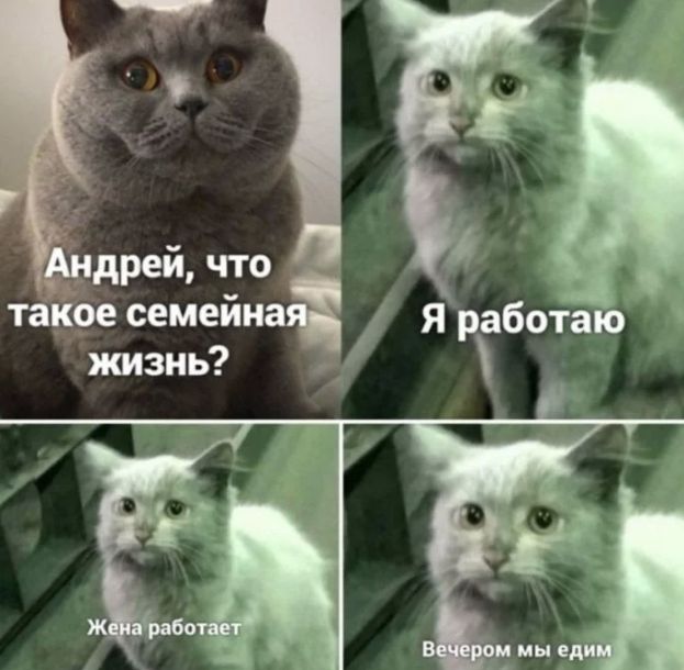 Андрей, что такое семейная жизнь?
Я работаю
Жена работает
Вечером мы едим