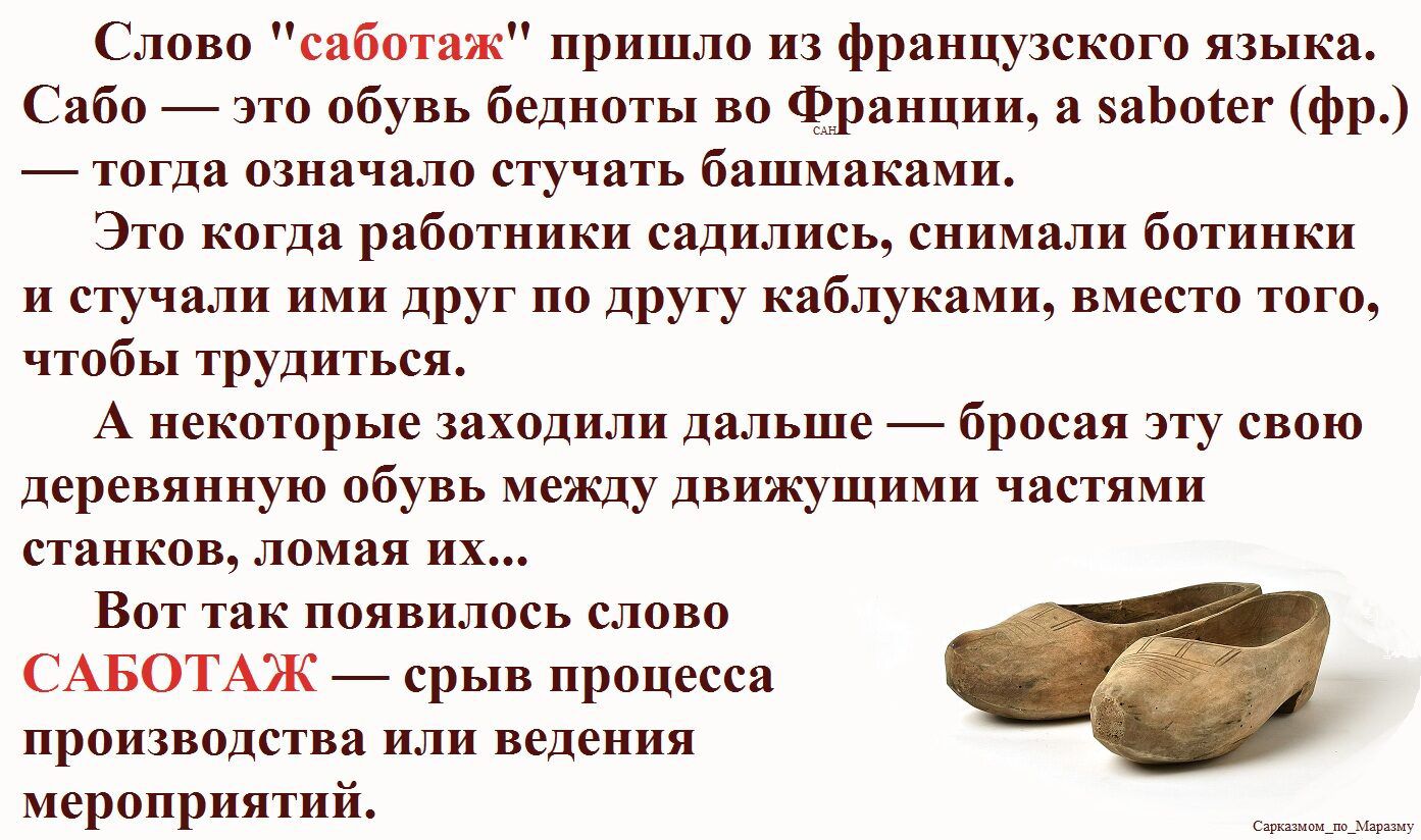 Слово 