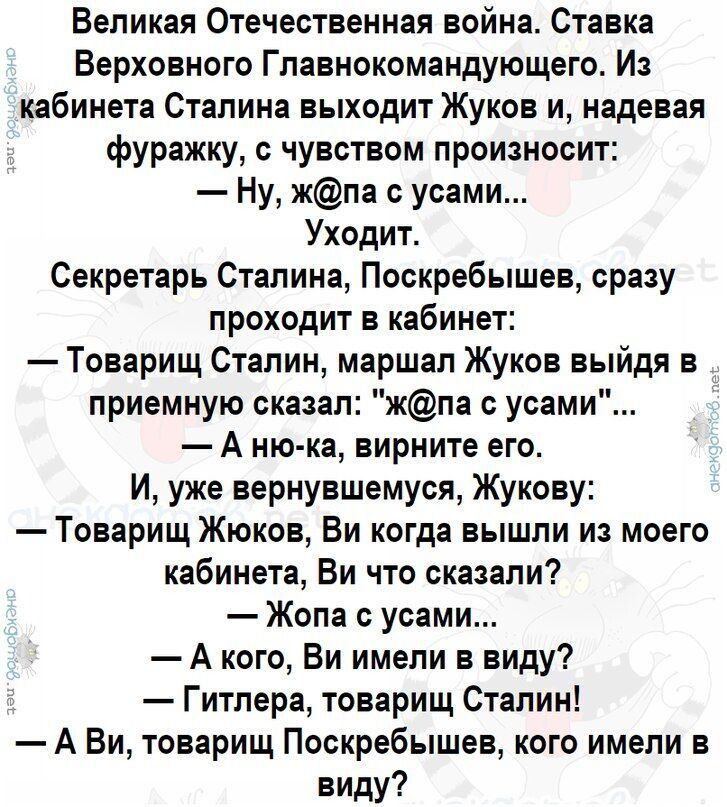 Великая Отечественная война. Ставка Верховного Главнокомандующего. Из кабинета Сталина выходит Жуков и, надевая фуражку, с чувством производит:
— Ну, ж@па с усами... Уходит.

Секретарь Сталина, Поскребышев, сразу проходит в кабинет:
— Товарищ Сталин, маршал Жуков выйдя в приемную сказал: 
