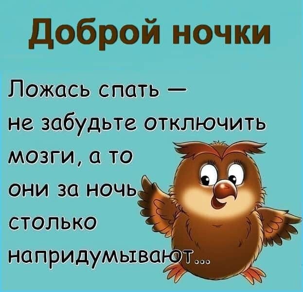 Доброй ночи
Ложась спать – не забудьте отключить мозги, а то они за ночь столько напридумывают...