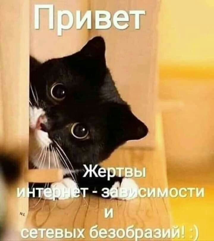 Привет
Жертвы интернет - зависимости и сетевых безобразий! :)