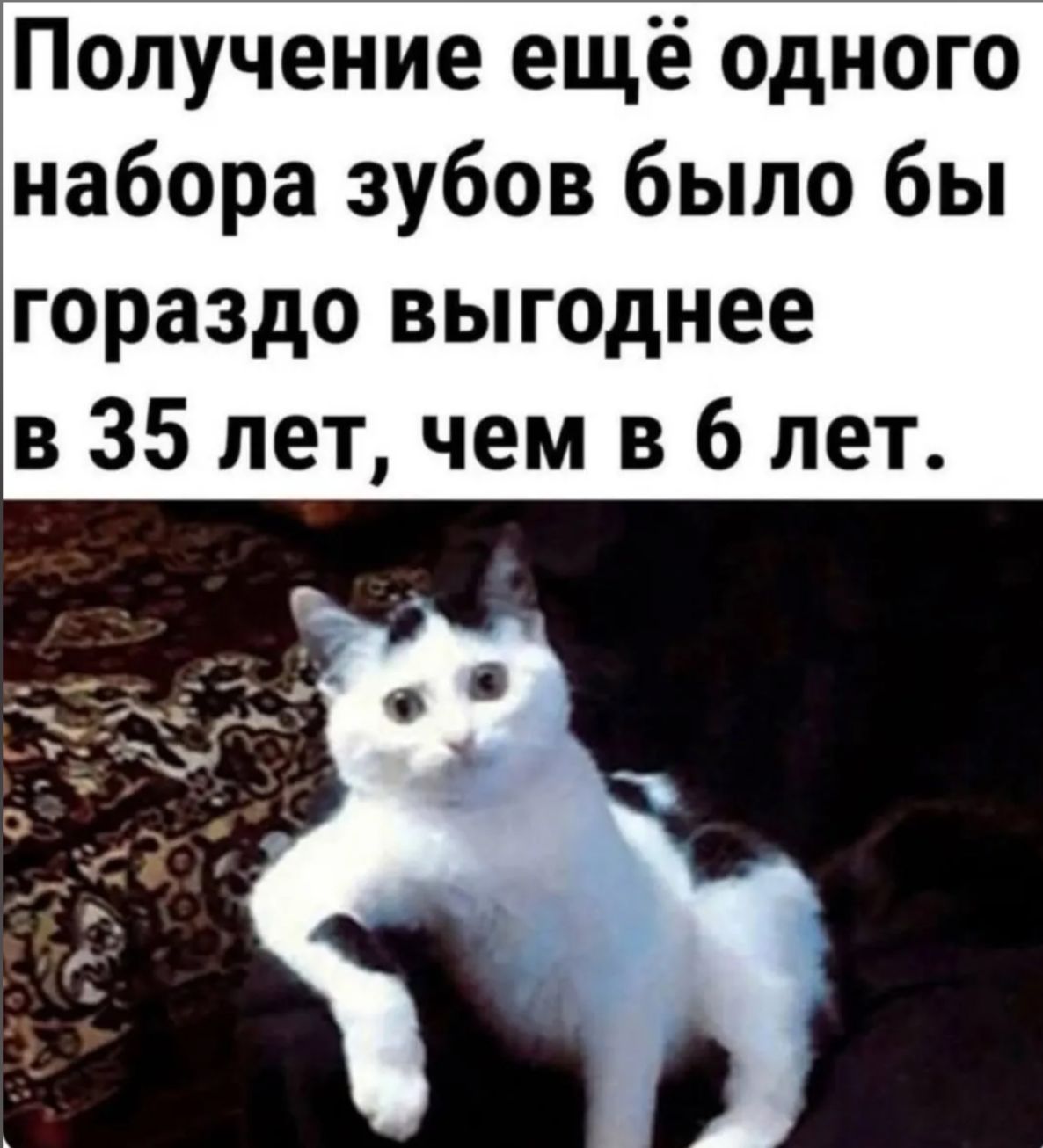 Получение ещё одного набора зубов было бы гораздо выгоднее в 35 лет, чем в 6 лет.