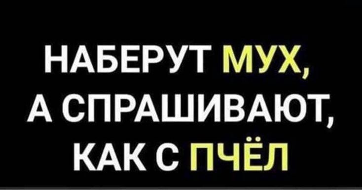 Наберут мух, а спрашивают, как с пчёл.