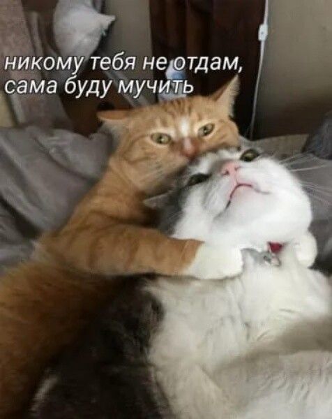 никому тебя не отдам, сама буду мучить