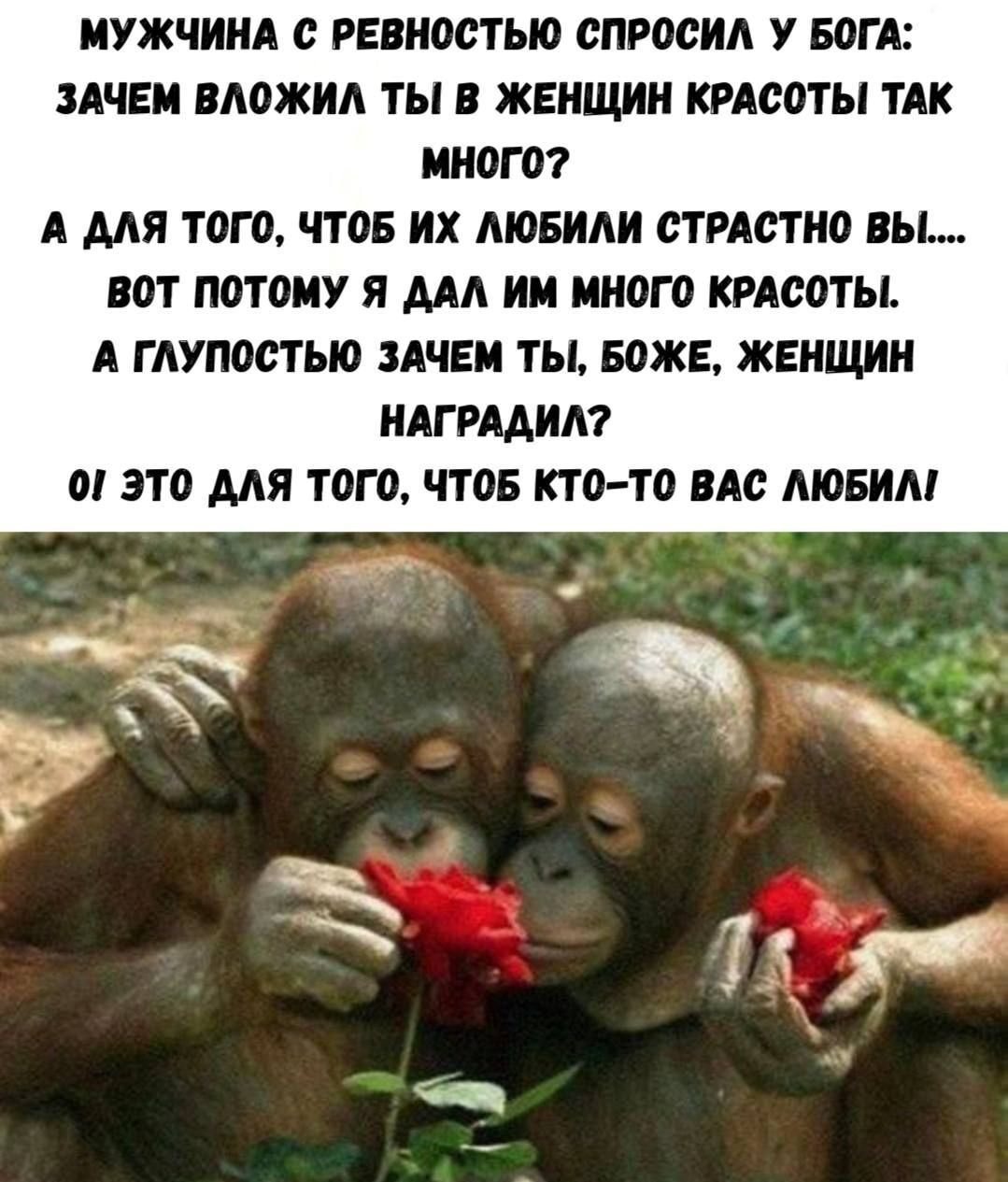 МУЖЧИНА С РЕВНОСТЬЮ СПРОСИЛ У БОГА: ЗАЧЕМ ВЛОЖИЛ ТЫ В ЖЕНЩИН КРАСОТЫ ТАК МНОГО? А ДЛЯ ТОГО, ЧТОБ ИХ ЛЮБИЛИ СТРАСТНО ВЫ.... ВОТ ПОТОМУ Я ДАЛ ИМ МНОГО КРАСОТЫ. А ГУЛЬПОСТЬ ЗАЧЕМ ТЫ, БОЖЕ, WOMEN НАГРАДИЛ? ОЙ, ЭТО ДЛЯ ТОГО, ЧТОБ КТО-ТО ВАС ЛЮБИЛ!