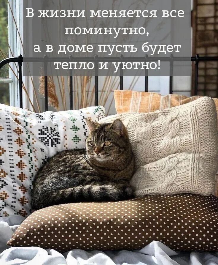 В жизни меняется все поминутно, а в доме пусть будет тепло