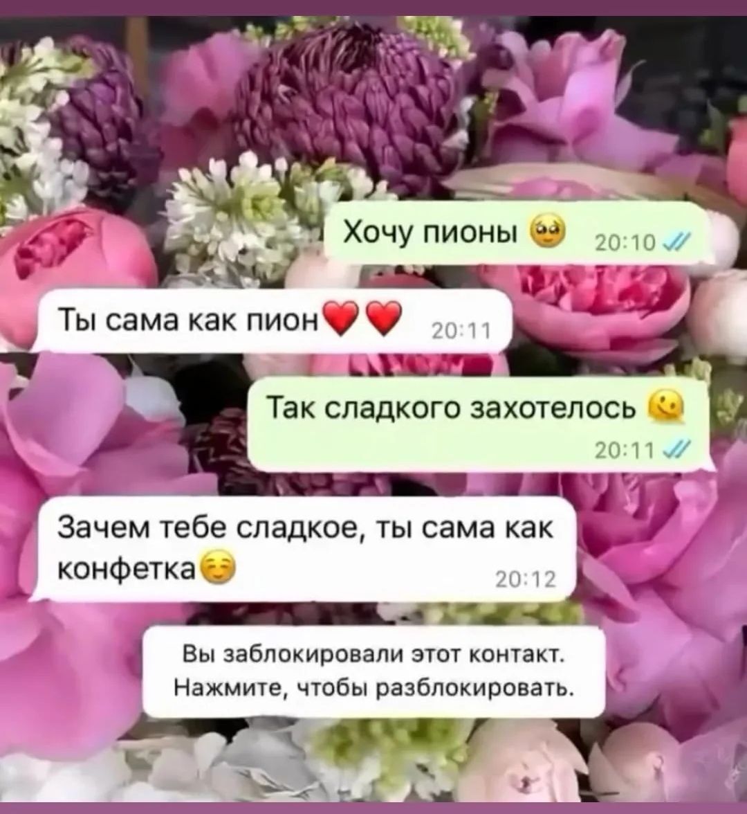 Хочу пионы
Ты сама как пион
Так сладкого захотелось
Зачем тебе сладкое, ты сама как конфетка
Вы заблокировали этот контакт. Нажмите, чтобы разблокировать.