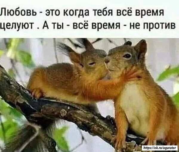 Любовь - это когда тебя всё время целуют. А ты - всё время - не против.