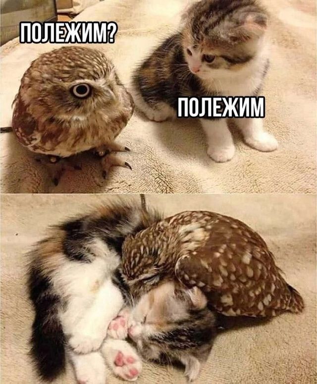 ПОЛЕЖИМ?
ПОЛЕЖИМ