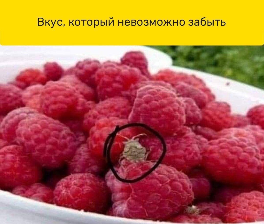 Вкус, который невозможно забыть