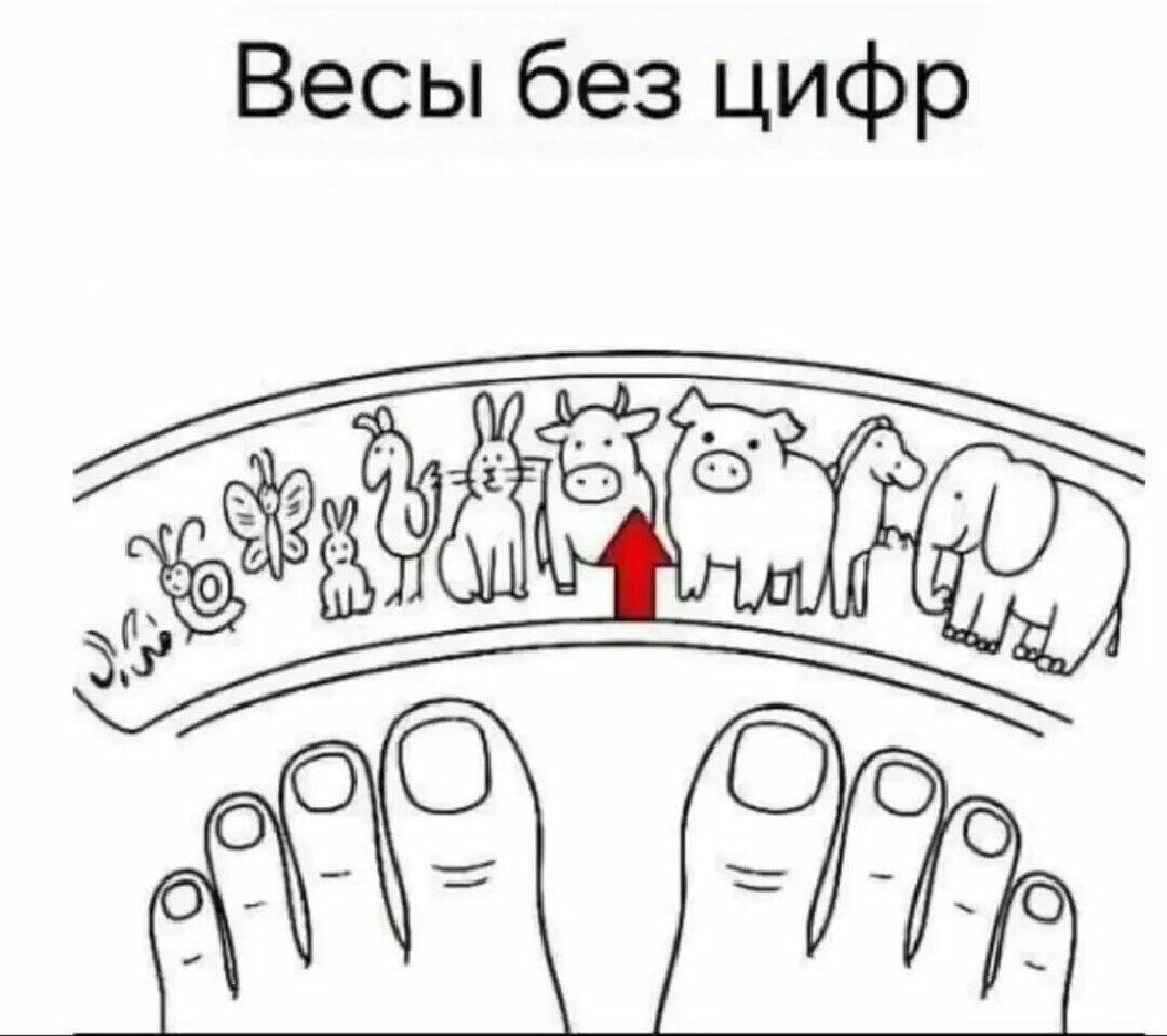 Весы без цифр