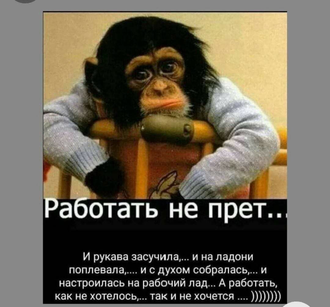 Работать не прет...

И рукава засуčila,... и на ладони полпевала,... и с духом собиралась,... и настроилась на рабочий лад... А работать, как не хотелось,... так и не хочется ....))))))